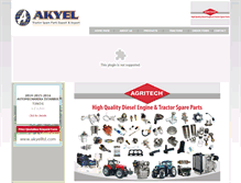 Tablet Screenshot of akyelltd.com